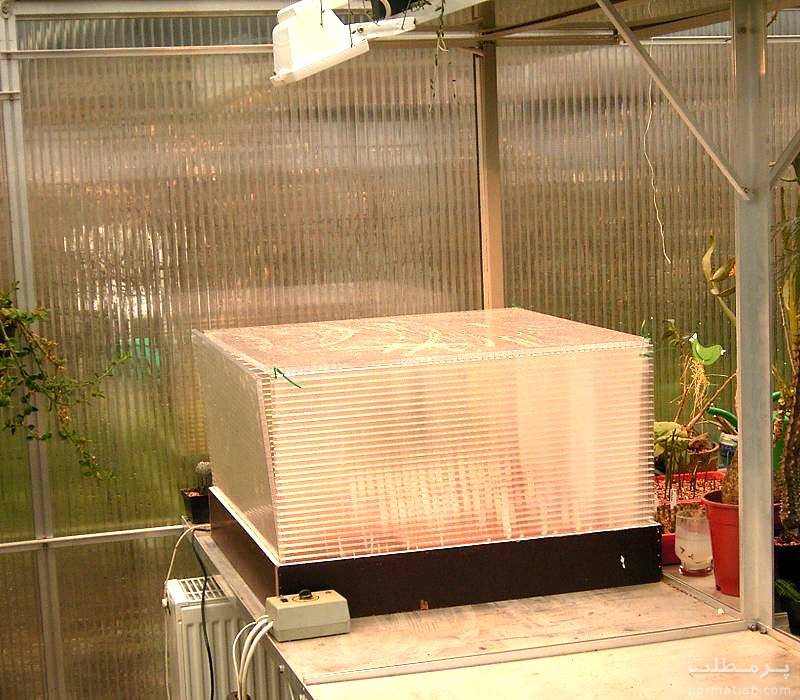 کاشت بذر کاکتوس زیر نور مصنوعی