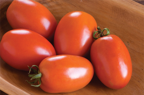 چگونه رب گوجه درست کنیم؟