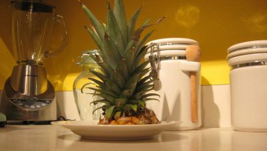 کاشت آناناس در منزل + عکس