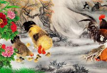 تصاویر نقاشی شده از مرغ و خروس شماره ۲