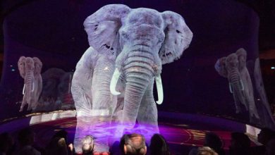 سیرکی با نمایش حیوانات مجازی